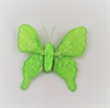 Stor lime grøn sommerfugl med klips på bagsiden. Vingefang ca. 14 cm.